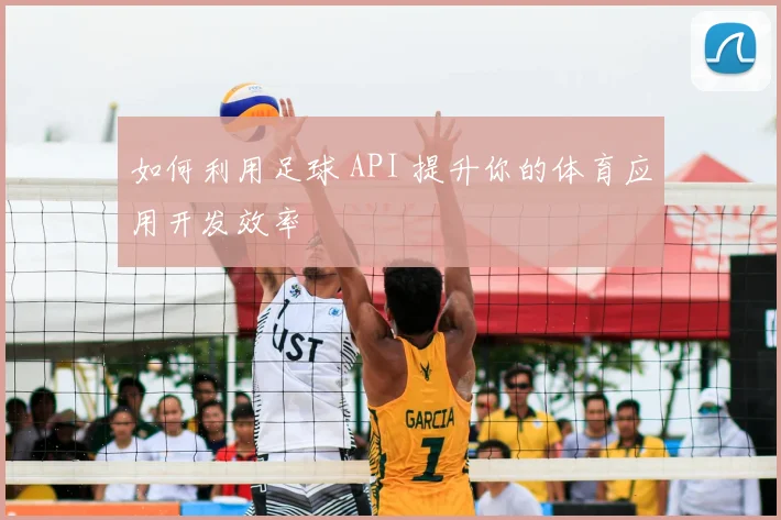 如何利用足球 API 提升你的体育应用开发效率