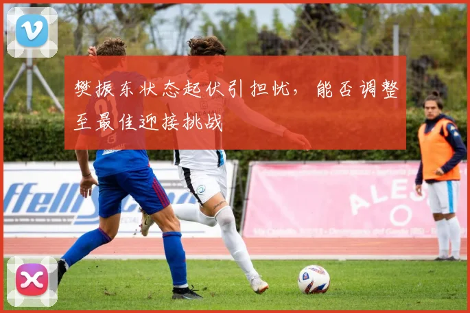 樊振东状态起伏引担忧，能否调整至最佳迎接挑战