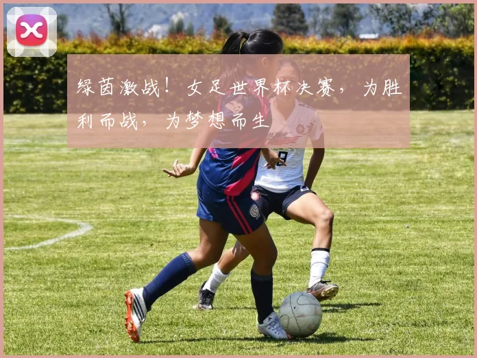 绿茵激战！女足世界杯决赛，为胜利而战，为梦想而生